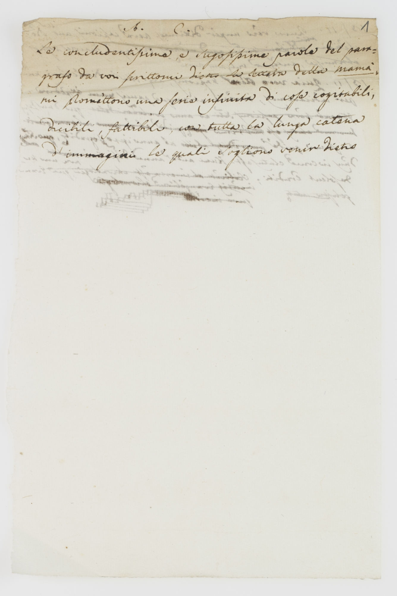 A.C. Le concludentissime e succosissime parole del paragrafo da voi scrittomi [incipit]