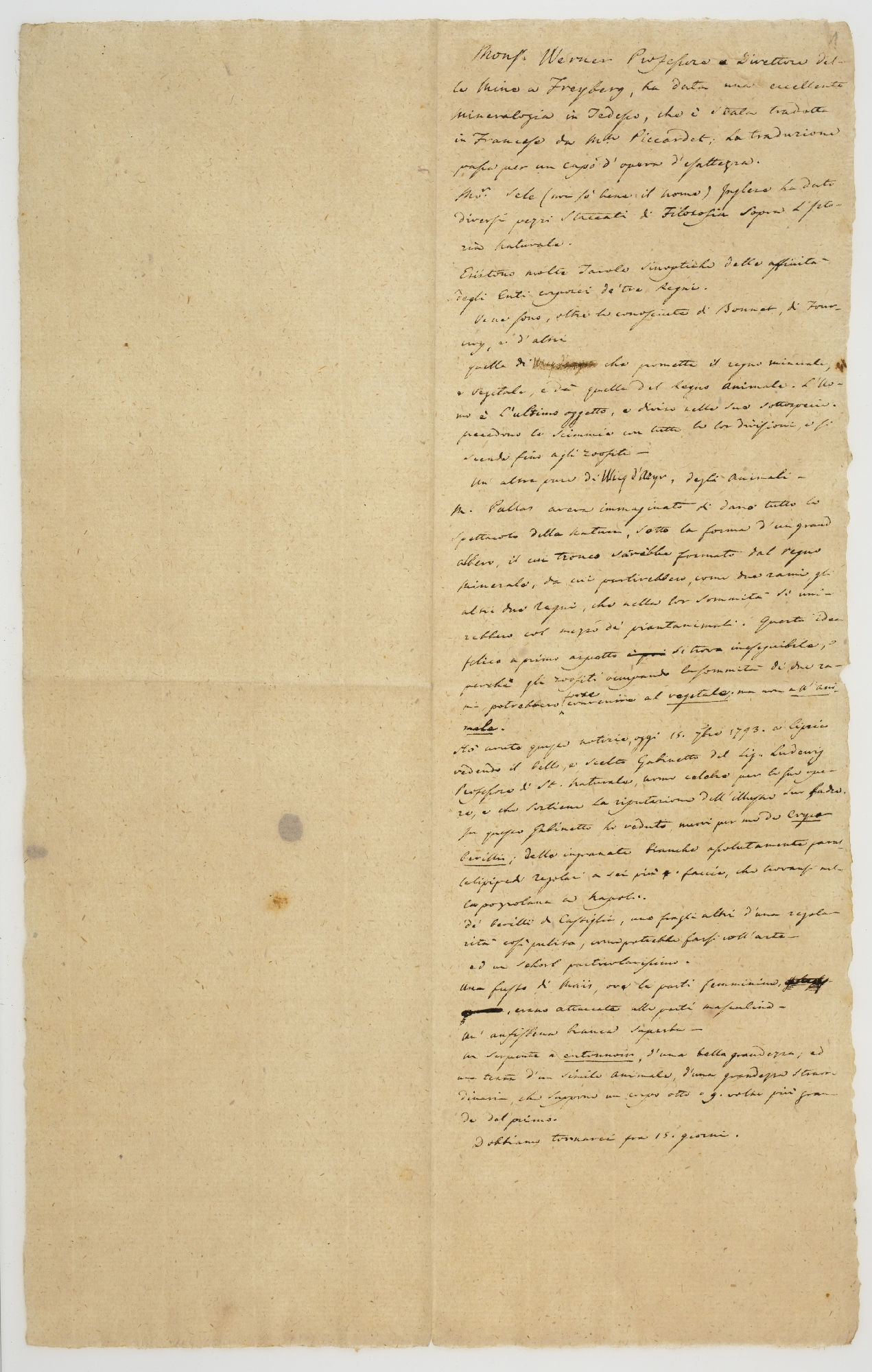 Mons. Werner Professore e Direttore [incipit] 