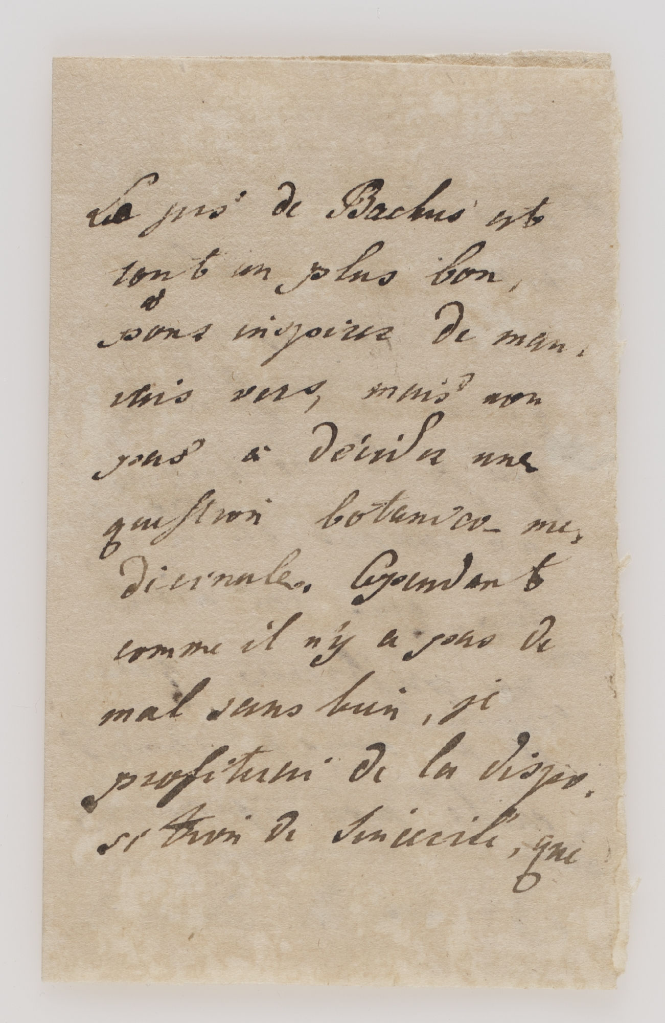 Le jus de Bachus [incipit]