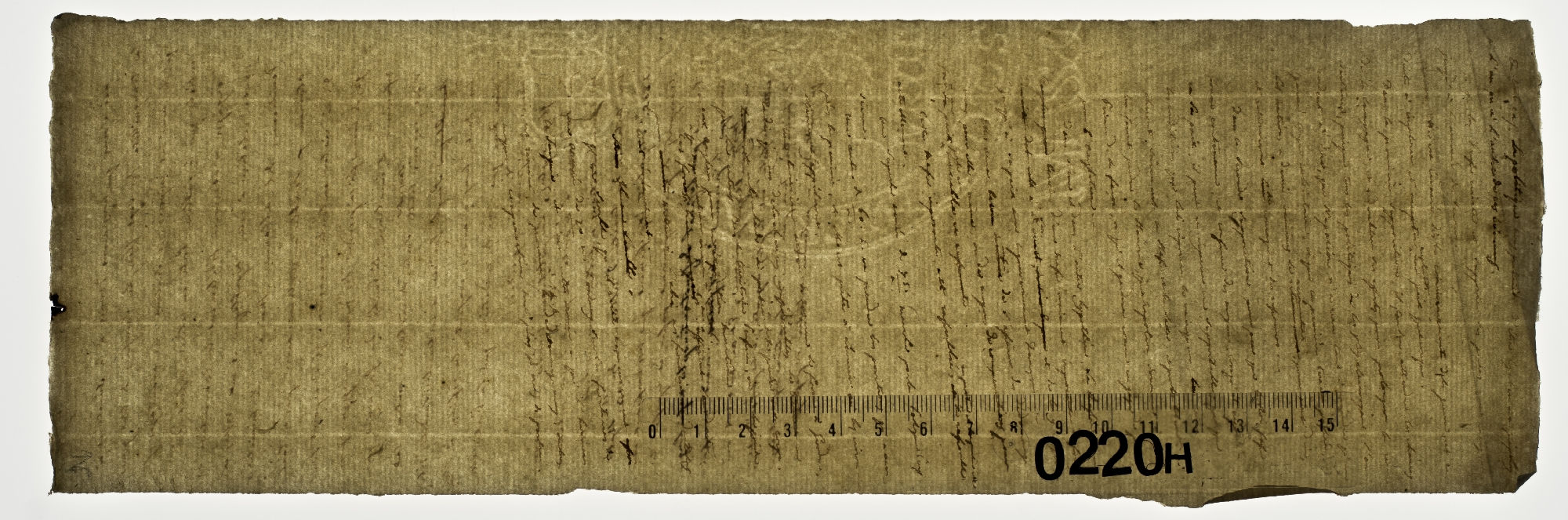 Les soins que nous avons donnés [incipit]
