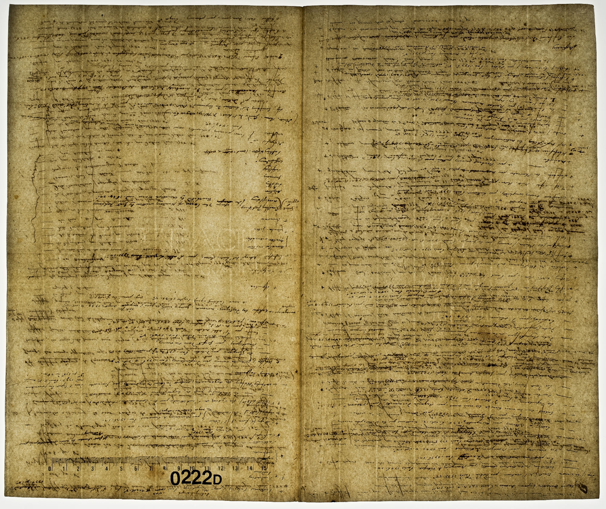 [...] Latins [title]