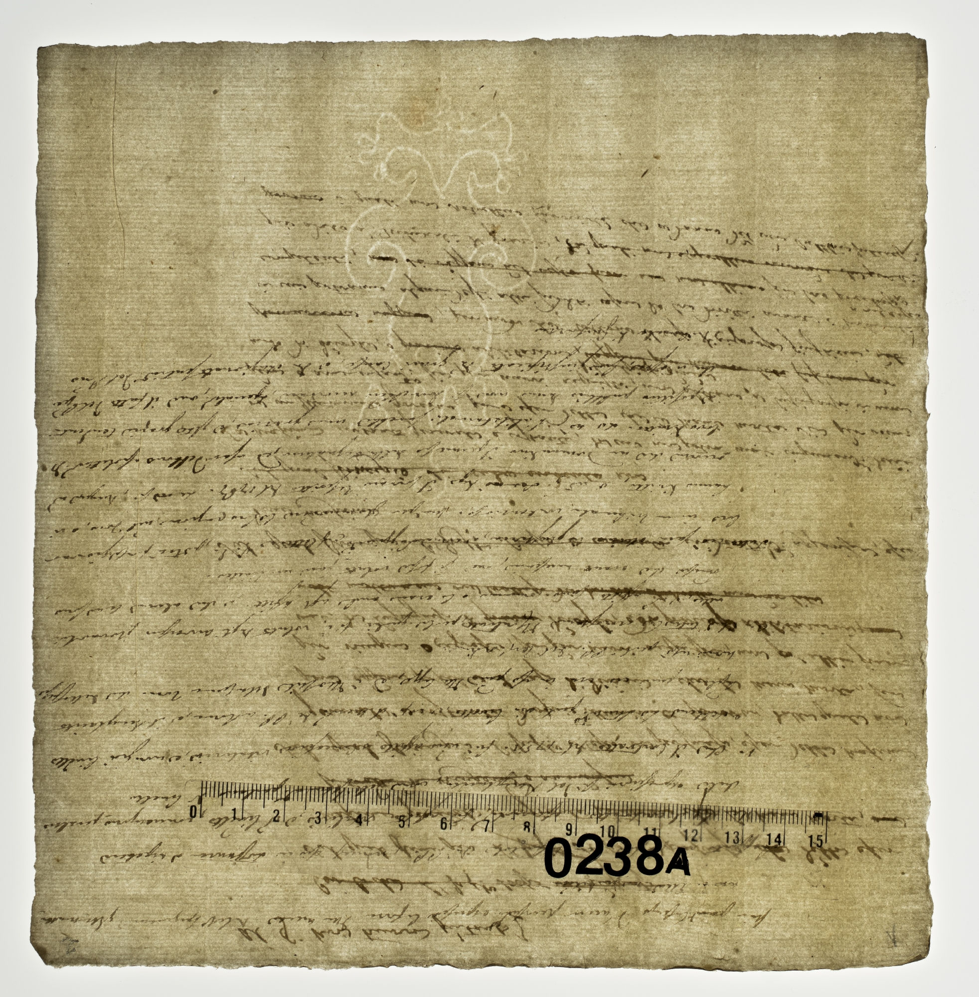 Modena. Venezia. [title]